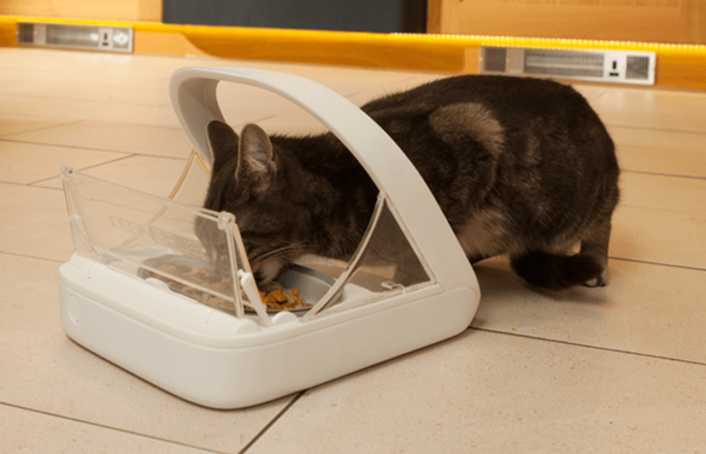 Cat Feeder With Collar Sensor